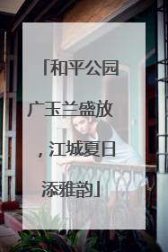 和平公园广玉兰盛放，江城夏日添雅韵