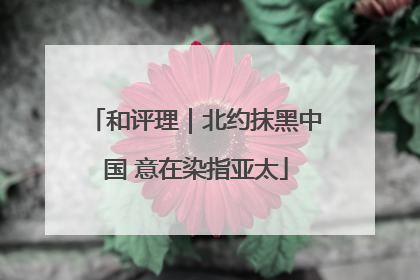 和评理｜北约抹黑中国 意在染指亚太