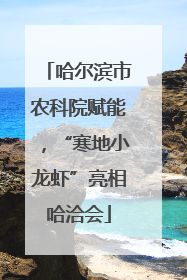 哈尔滨市农科院赋能，“寒地小龙虾”亮相哈洽会