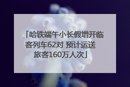 哈铁端午小长假增开临客列车62对 预计运送旅客160万人次