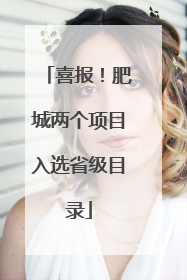 喜报！肥城两个项目入选省级目录