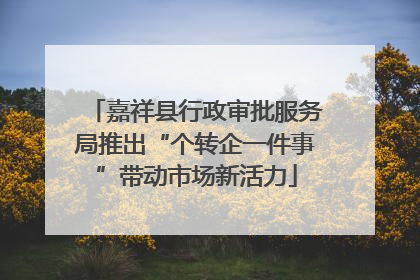 嘉祥县行政审批服务局推出“个转企一件事”带动市场新活力