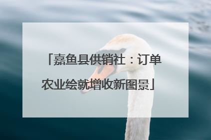 嘉鱼县供销社：订单农业绘就增收新图景