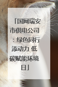 国网瑞安市供电公司：绿色同行添动力 低碳赋能环境日