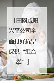 国网咸阳兴平公司全面打好抗旱保供“组合拳”