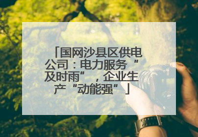 国网沙县区供电公司：电力服务“及时雨”，企业生产“动能强”
