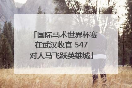 国际马术世界杯赛在武汉收官 547对人马飞跃英雄城