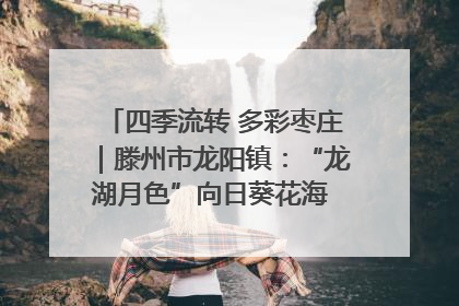 四季流转 多彩枣庄｜滕州市龙阳镇：“龙湖月色”向日葵花海 绘就乡村振兴新画卷