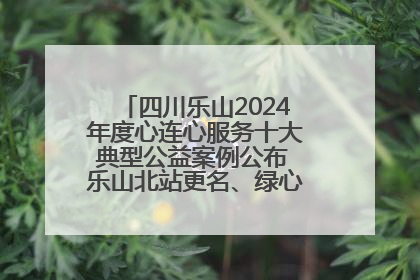 四川乐山2024年度心连心服务十大典型公益案例公布 乐山北站更名、绿心路井盖治理等上榜