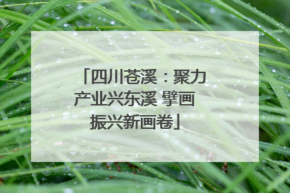 四川苍溪：聚力产业兴东溪 擘画振兴新画卷