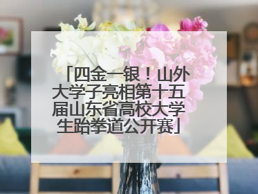 四金一银！山外大学子亮相第十五届山东省高校大学生跆拳道公开赛