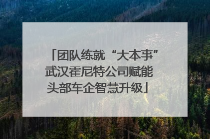 团队练就“大本事” 武汉霍尼特公司赋能头部车企智慧升级