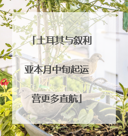 土耳其与叙利亚本月中旬起运营更多直航