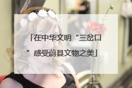 在中华文明“三岔口”感受蔚县文物之美