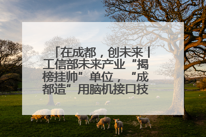 在成都，创未来丨工信部未来产业“揭榜挂帅”单位，“成都造”用脑机接口技术造福孤独症儿童