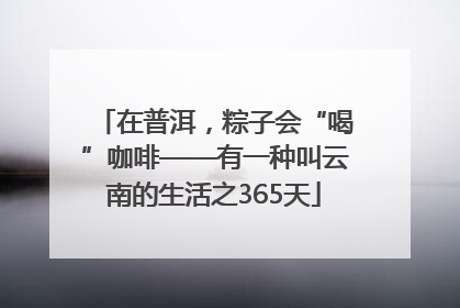 在普洱，粽子会“喝”咖啡——有一种叫云南的生活之365天