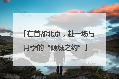 在首都北京，赴一场与月季的“倾城之约”