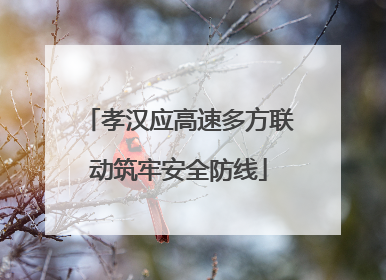 孝汉应高速多方联动筑牢安全防线