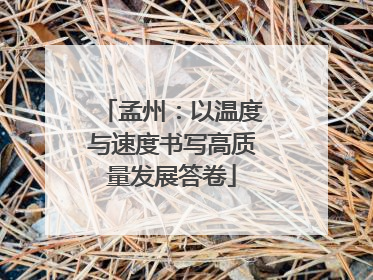 孟州：以温度与速度书写高质量发展答卷