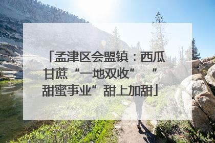 孟津区会盟镇：西瓜甘蔗“一地双收” “甜蜜事业”甜上加甜