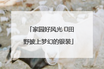 家园好风光 ⎮田野披上梦幻的银装