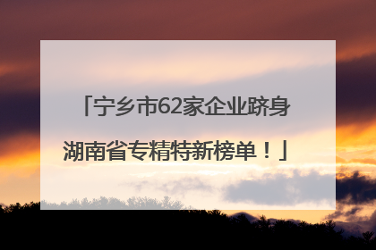 宁乡市62家企业跻身湖南省专精特新榜单！
