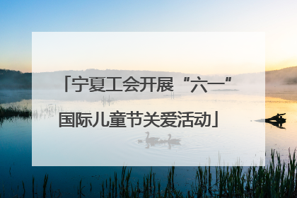 宁夏工会开展“六一”国际儿童节关爱活动