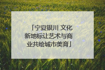 宁夏银川 文化新地标让艺术与商业共绘城市美育