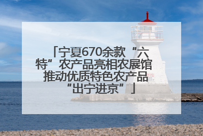 宁夏670余款“六特”农产品亮相农展馆 推动优质特色农产品“出宁进京”