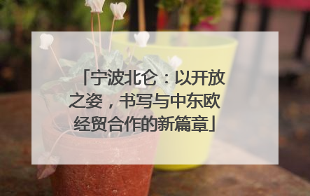 宁波北仑：以开放之姿，书写与中东欧经贸合作的新篇章