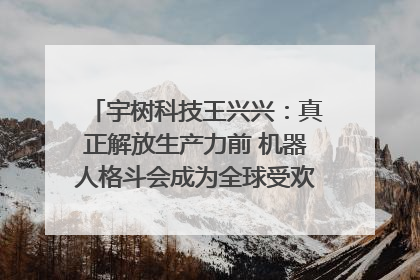 宇树科技王兴兴：真正解放生产力前 机器人格斗会成为全球受欢迎的赛事｜科技观察