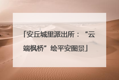 安丘城里派出所：“云端枫桥”绘平安图景