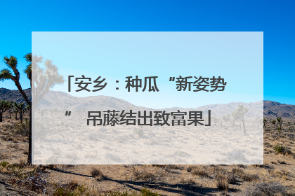 安乡：种瓜“新姿势” 吊藤结出致富果