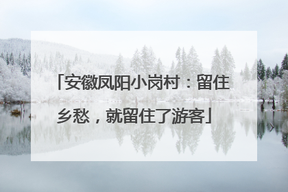 安徽凤阳小岗村：留住乡愁，就留住了游客