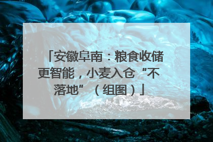 安徽阜南：粮食收储更智能，小麦入仓“不落地”（组图）