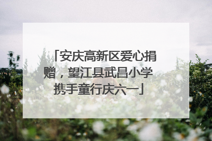 安庆高新区爱心捐赠，望江县武昌小学携手童行庆六一
