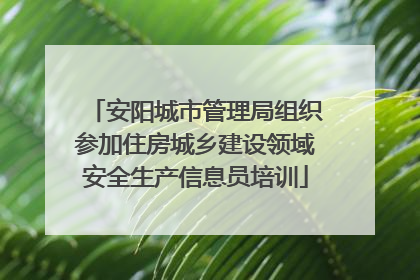 安阳城市管理局组织参加住房城乡建设领域安全生产信息员培训