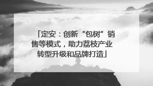 定安：创新“包树”销售等模式，助力荔枝产业转型升级和品牌打造