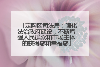 定陶区司法局：强化法治政府建设，不断增强人民群众和市场主体的获得感和幸福感