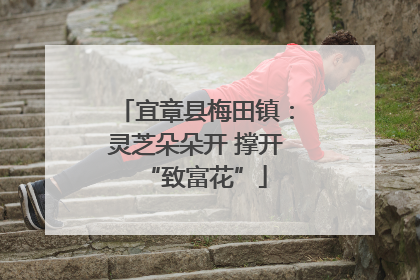 宜章县梅田镇：灵芝朵朵开 撑开“致富花”