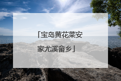 宝岛黄花菜安家尤溪畲乡