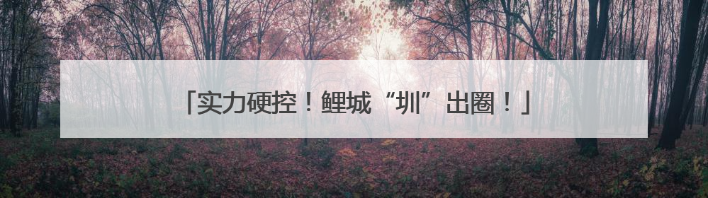 实力硬控！鲤城“圳”出圈！
