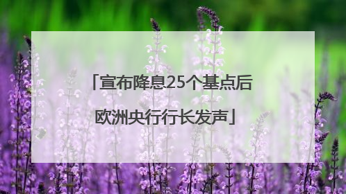 宣布降息25个基点后 欧洲央行行长发声