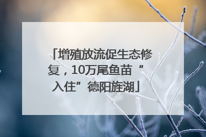增殖放流促生态修复，10万尾鱼苗“入住”德阳旌湖