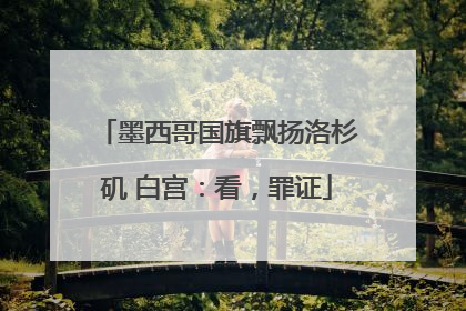 墨西哥国旗飘扬洛杉矶 白宫：看，罪证