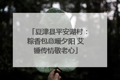 夏津县平安湖村：粽香包意暖夕阳 艾锤传情敬老心