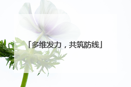 多维发力，共筑防线