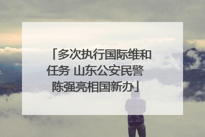 多次执行国际维和任务 山东公安民警陈强亮相国新办