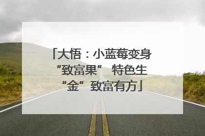 大悟：小蓝莓变身“致富果” 特色生“金”致富有方