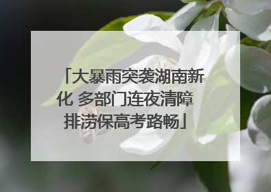 大暴雨突袭湖南新化 多部门连夜清障排涝保高考路畅
